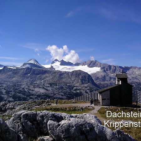 Haus Alpenblick Διαμέρισμα Όμπερτραουν Εξωτερικό φωτογραφία
