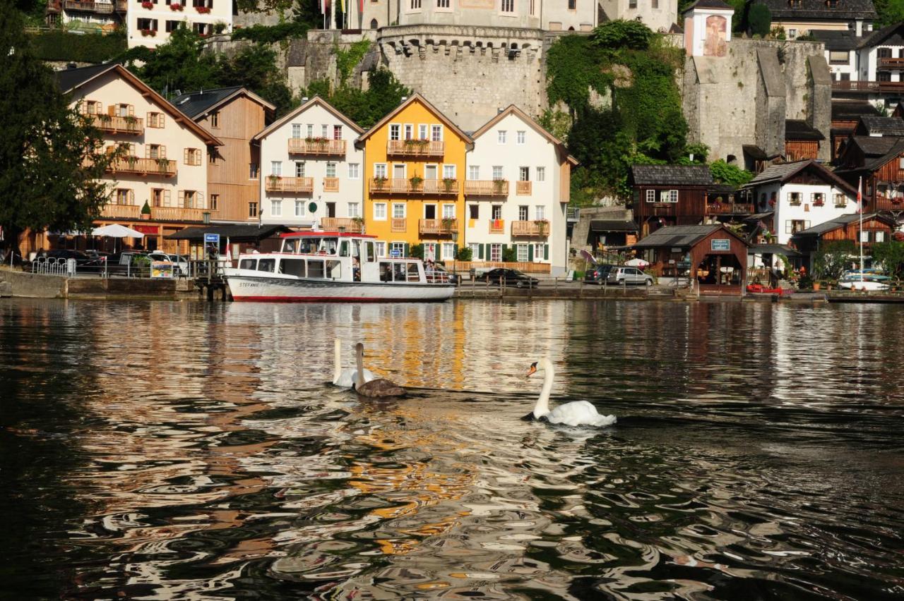 Haus Alpenblick Διαμέρισμα Όμπερτραουν Εξωτερικό φωτογραφία