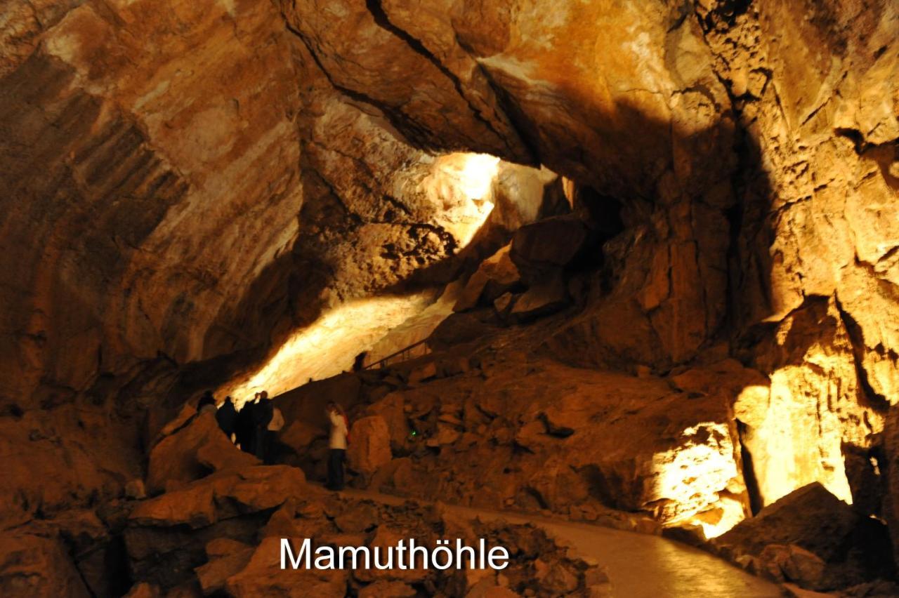 Haus Alpenblick Διαμέρισμα Όμπερτραουν Εξωτερικό φωτογραφία
