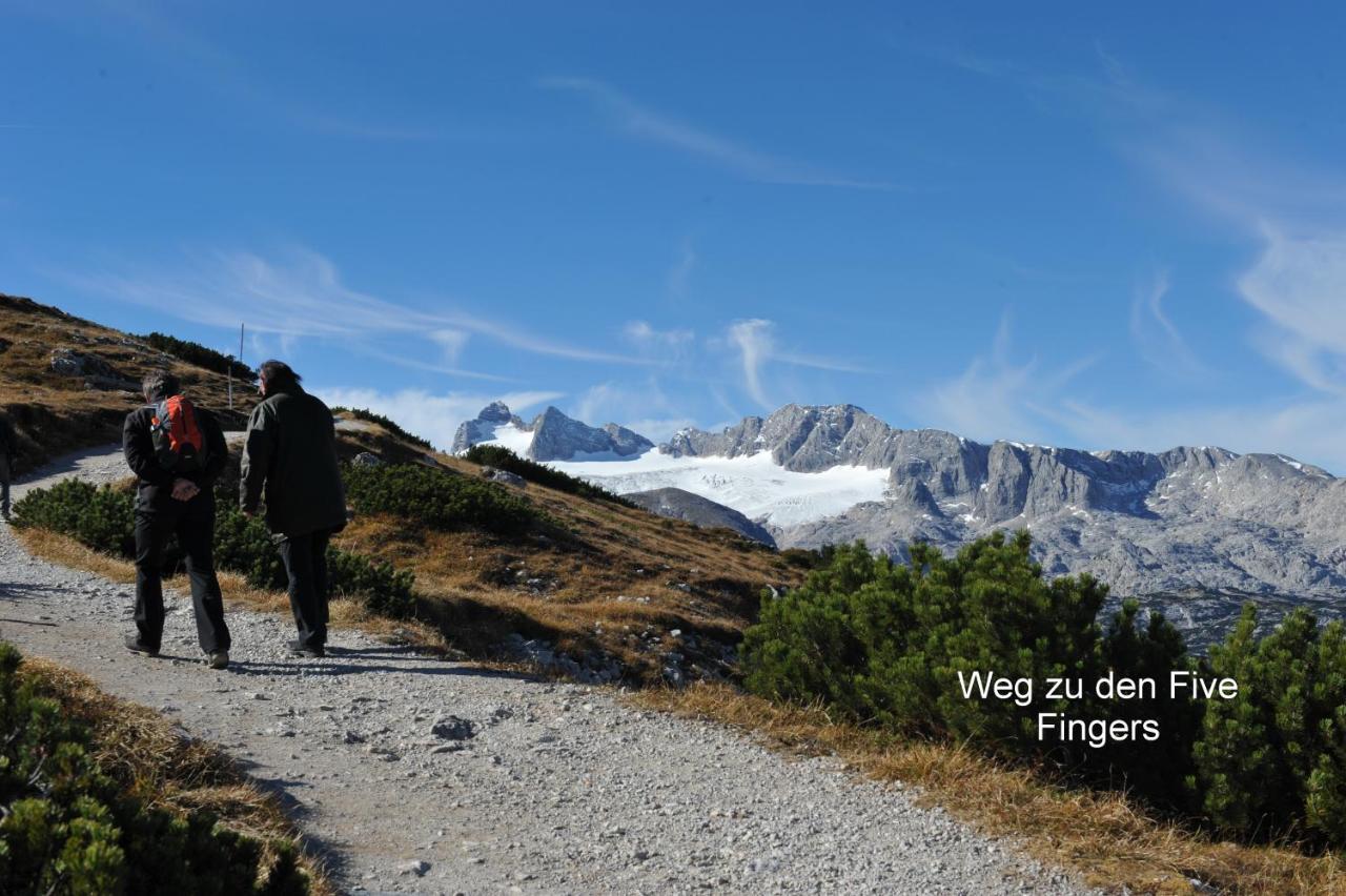 Haus Alpenblick Διαμέρισμα Όμπερτραουν Εξωτερικό φωτογραφία