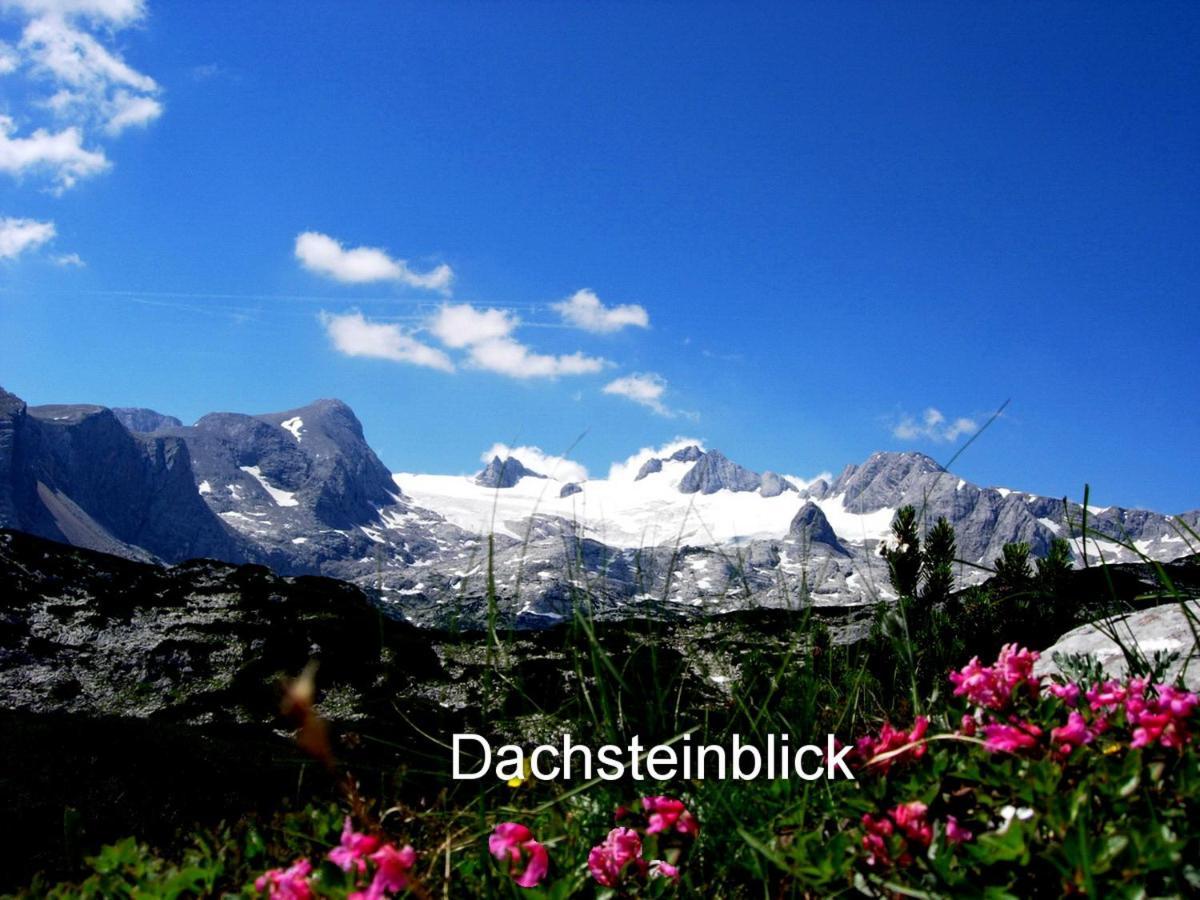 Haus Alpenblick Διαμέρισμα Όμπερτραουν Εξωτερικό φωτογραφία