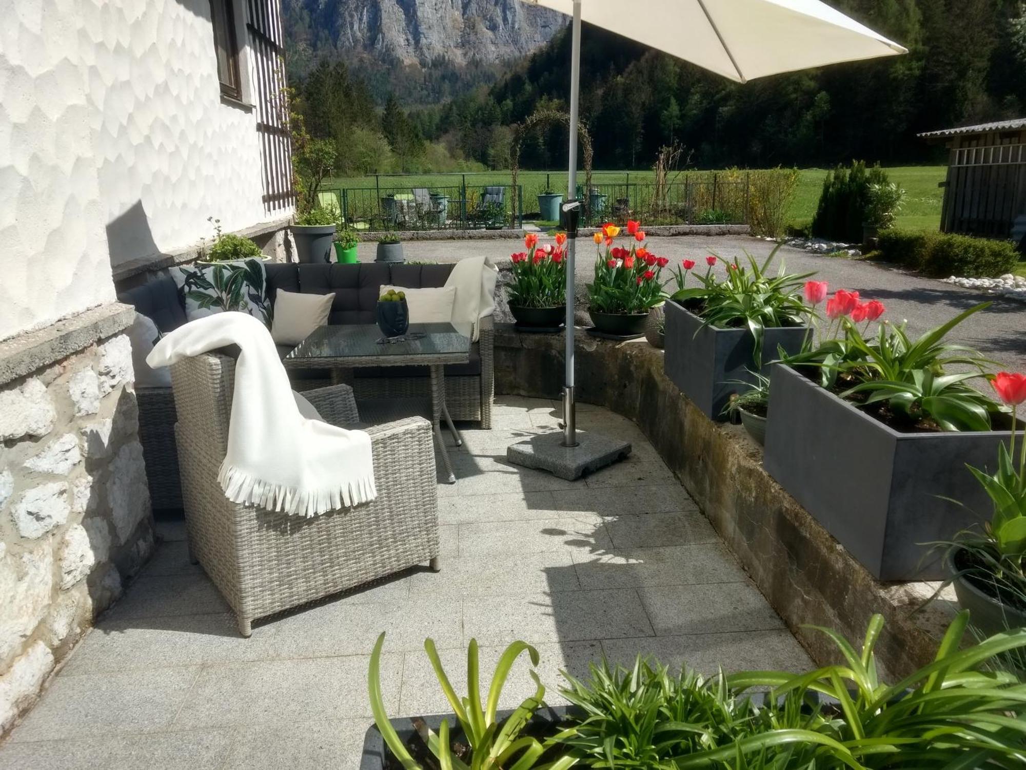 Haus Alpenblick Διαμέρισμα Όμπερτραουν Εξωτερικό φωτογραφία