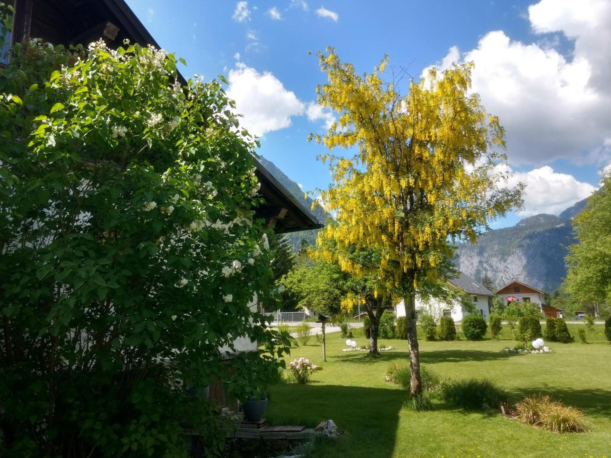 Haus Alpenblick Διαμέρισμα Όμπερτραουν Εξωτερικό φωτογραφία