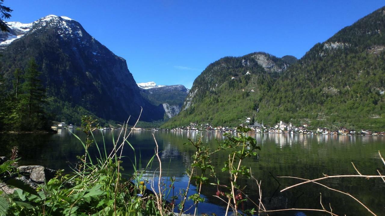 Haus Alpenblick Διαμέρισμα Όμπερτραουν Εξωτερικό φωτογραφία